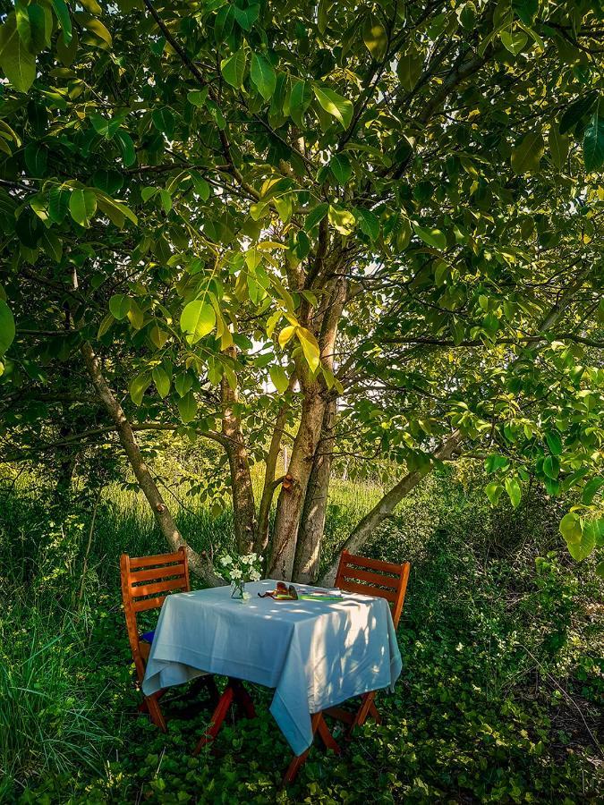 Wild Boar Cottage - Romantic Getaway Badacsonytomaj Ngoại thất bức ảnh